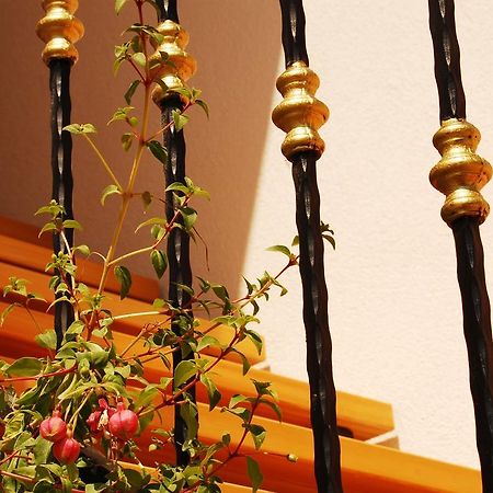 Apartment Mladenka Visnjik Zára Kültér fotó